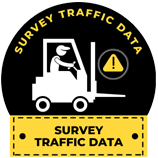 Survey Traffic Data