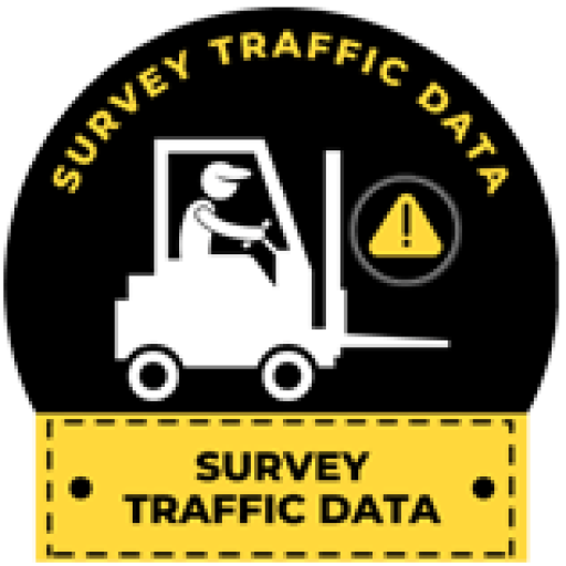 Survey Traffic Data